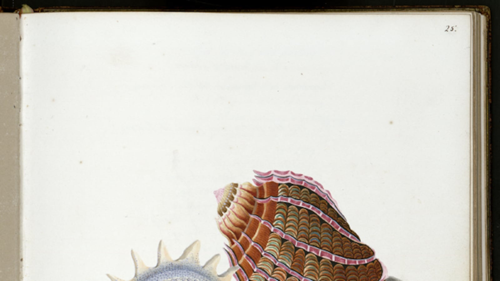 galleries/2012/08/16/beautiful-commonplace-books-by-lewis-carroll-nancy-cunard-and-more-photos/commonplace-books-southey1_h8l5hp