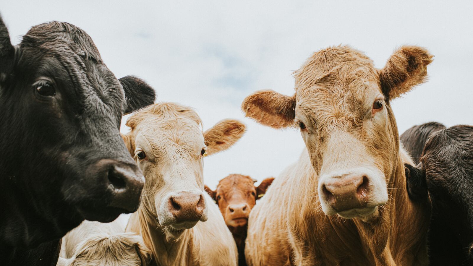 GettyImages-1255621256_aclxwu