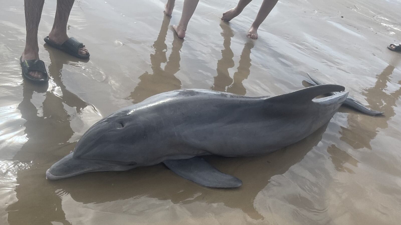 Screen_Shot_2022-04-14_at_12.40.50_PM_spe7bj