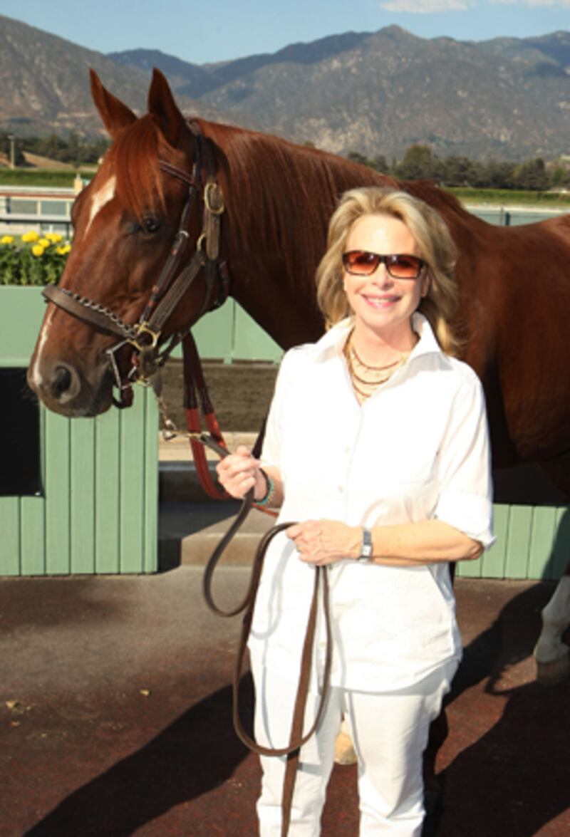 galleries/2010/12/17/rip-in-the-tmz/rip-2010---ronni-chasen_ndtdf5