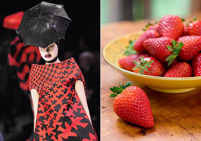 galleries/2009/08/26/harvesting-fall-s-fashions/fashion-fall-food---alexander-mcqueen_yvbm7y