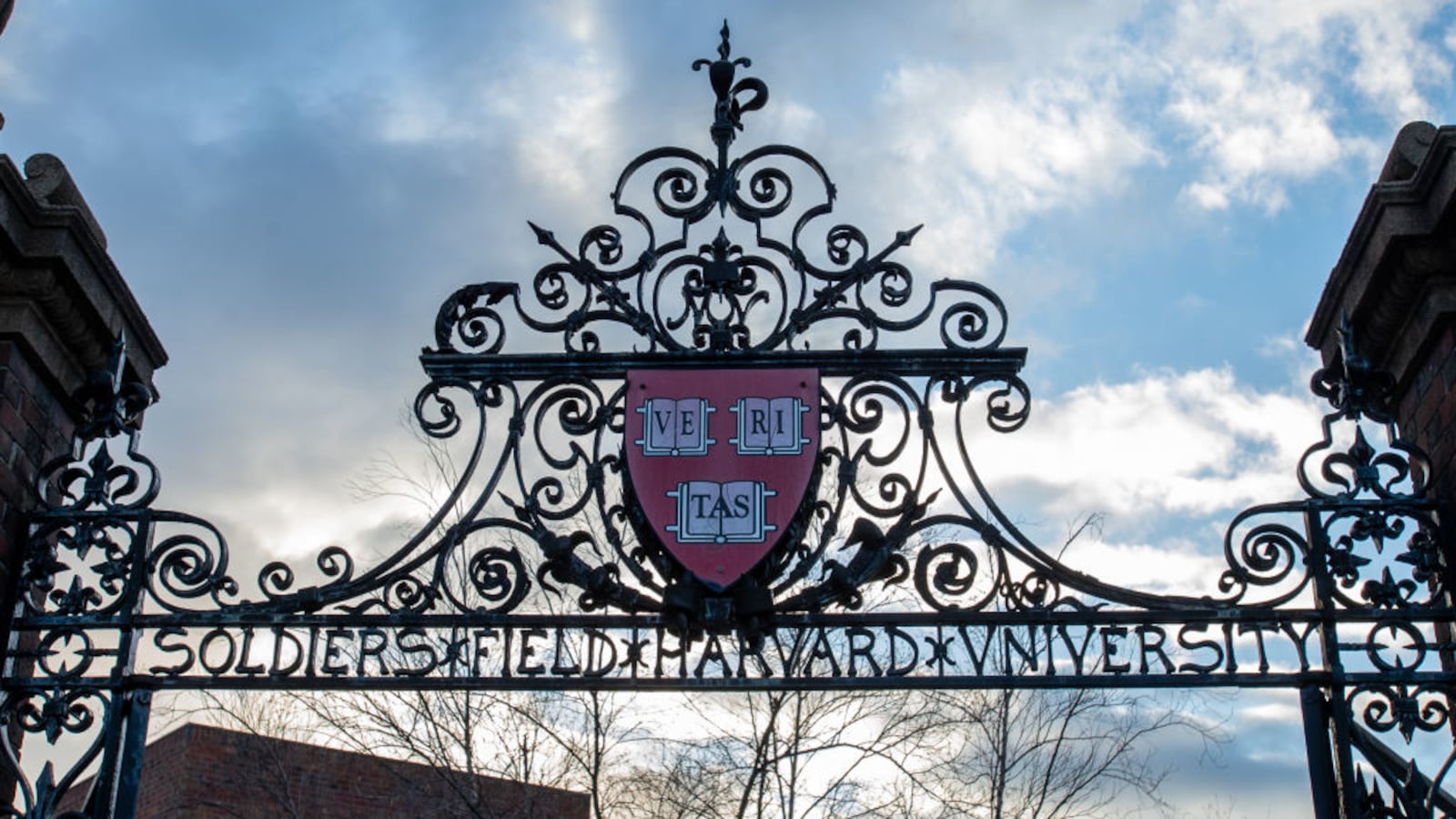 Applications to Harvard College have dropped this year.