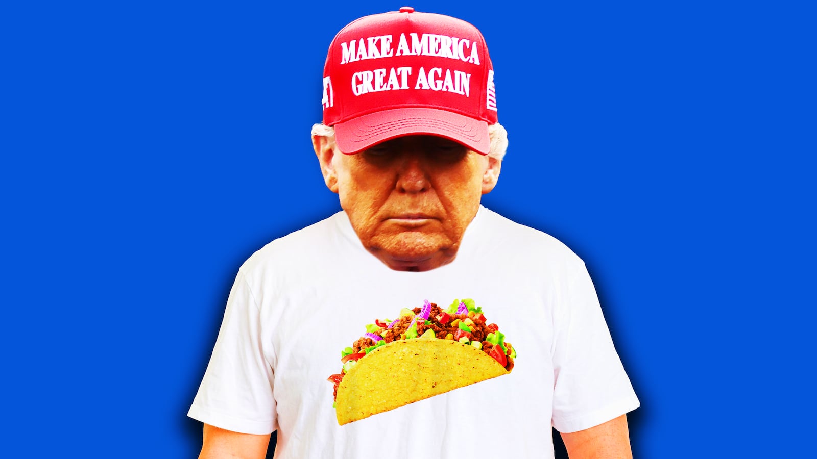 Donald Trump photo illustration