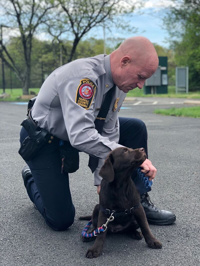 123914208_4700706743304759_2247077516021778158_n_lq8rzm