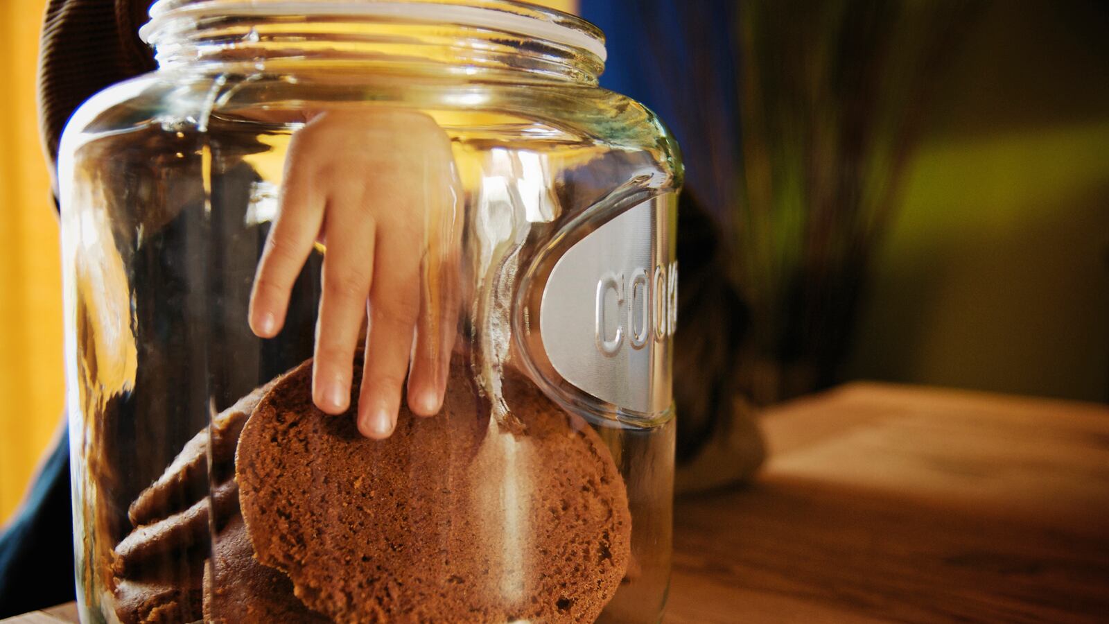 cheats/2012/07/03/3-year-old-eats-grandma-s-pot-cookies/pot-cookies-grandma-cheat_dlqh2g