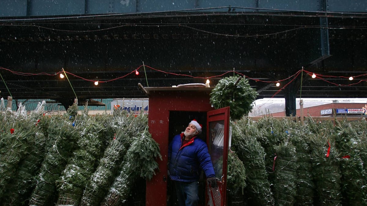 cheats/2011/11/09/obama-institutes-christmas-tree-tax/christmas-tree-tax-cs_ircxc1