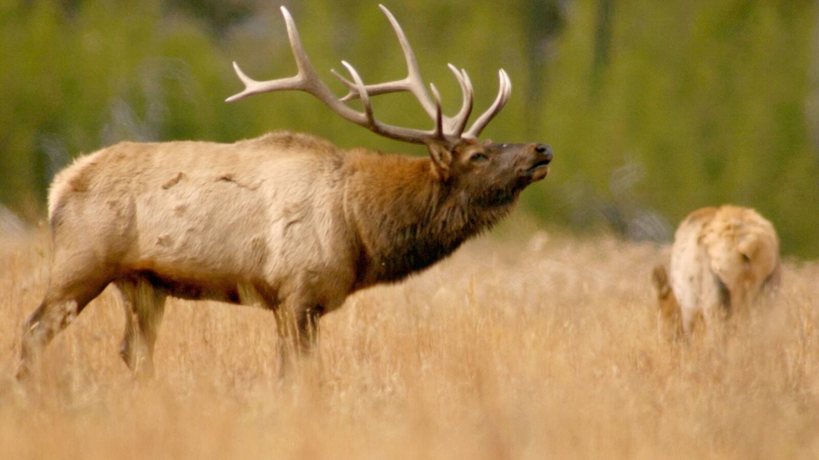 GettyImages-2608753_ypppgo