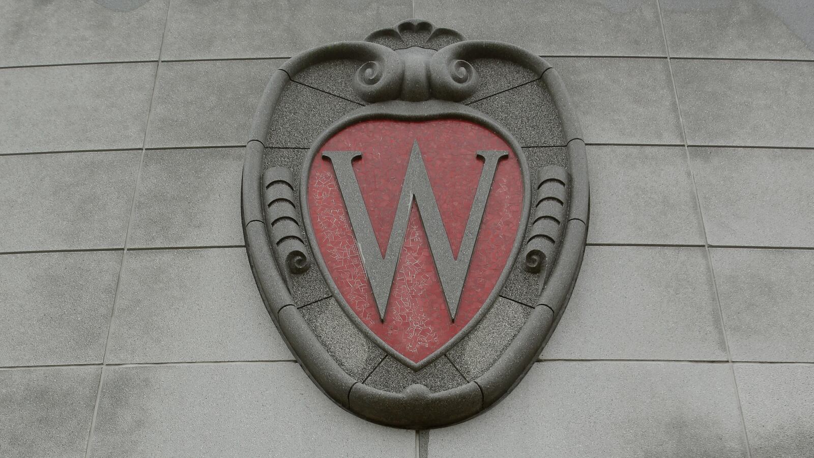 200402-briquelet-madison_xhn2sv