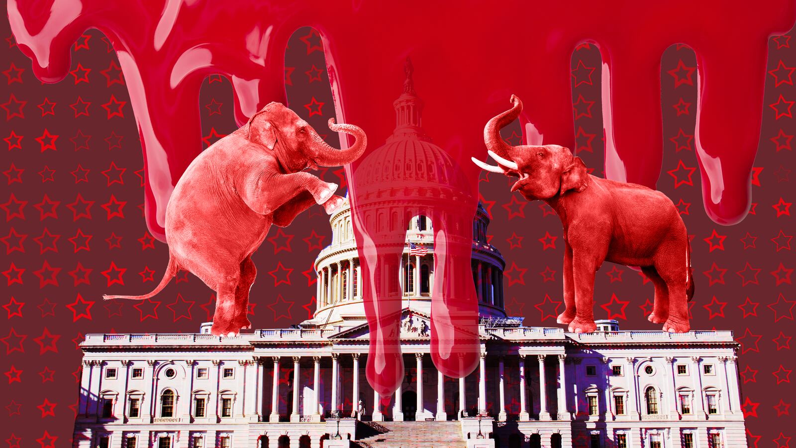 181105-stein-senate-flips-republicans-tease_dr8rlr