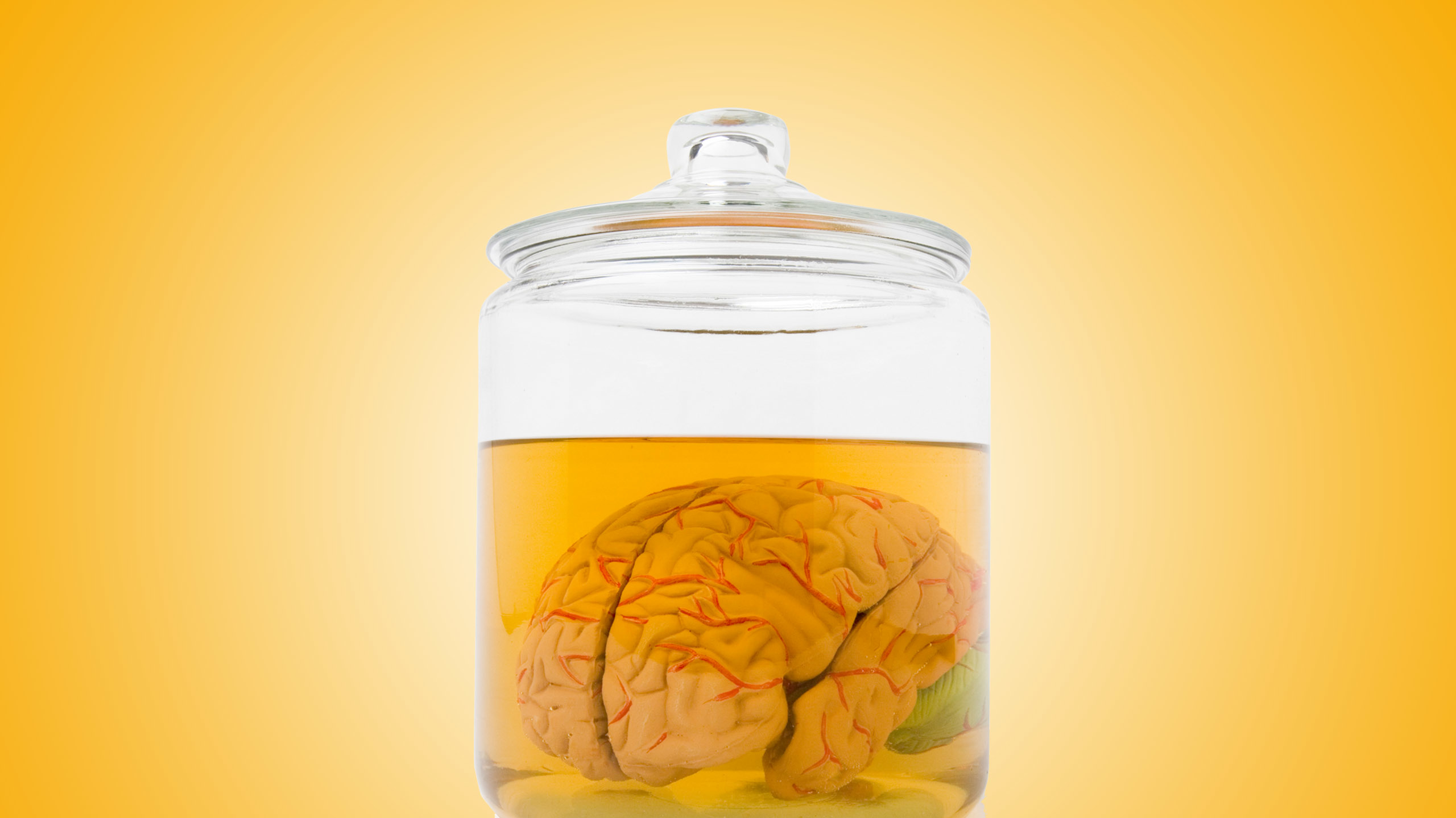 articles/2016/02/20/brains-in-a-jar-are-real-now/160219-whitaker-brain-tease_xsxtea