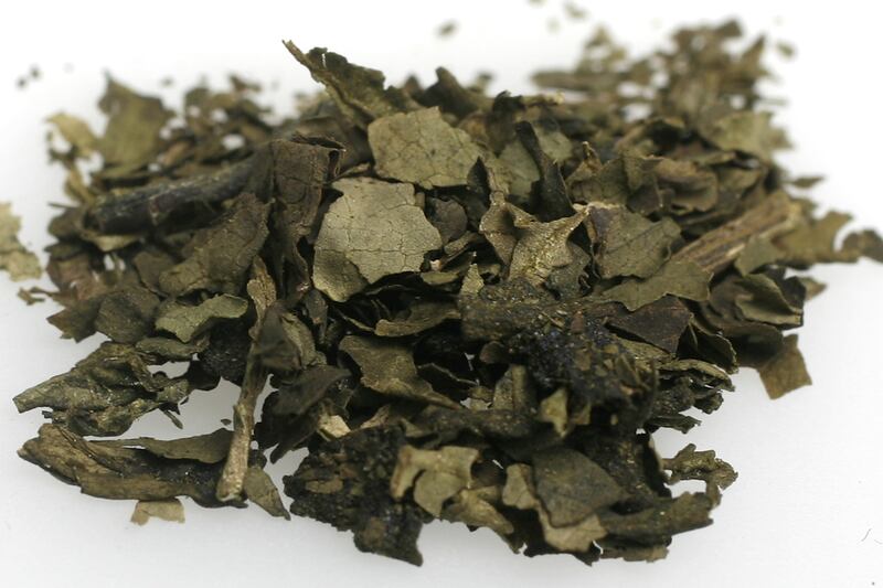 galleries/2012/01/27/seven-shockingly-legal-drugs-photos/shockingly-legal-drugs-salvia_pohnfh