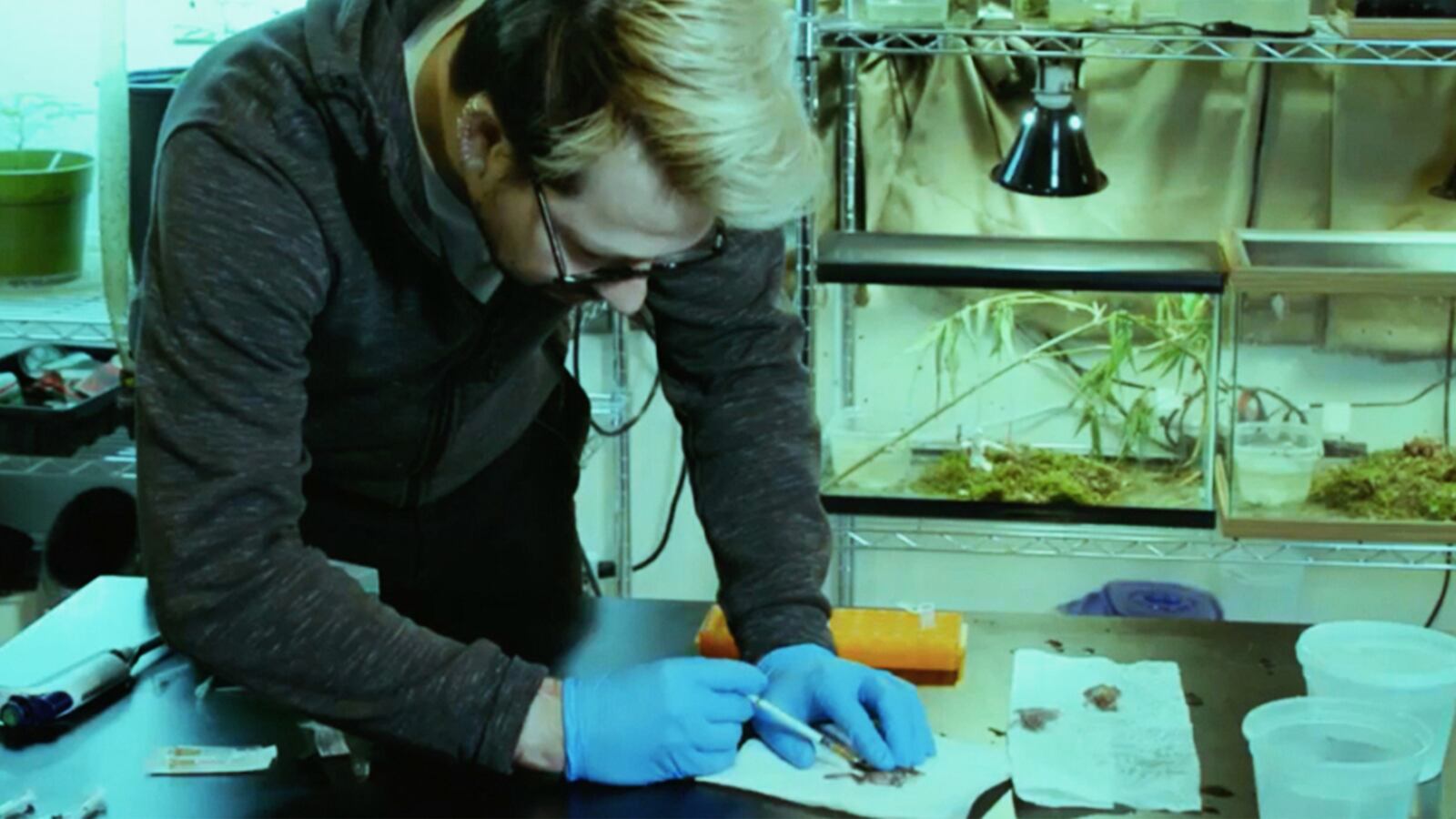 201029-Schager-Renegade-Biohackers-Coronavirus-embed2_ykpwiv