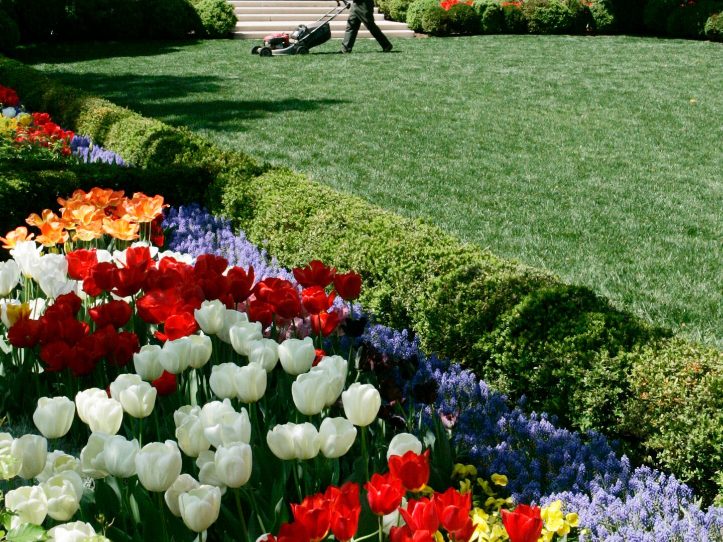 The 275 Million Estate The Inside Story Of Jimmy Buffetts Legal Drama - nfkg17h