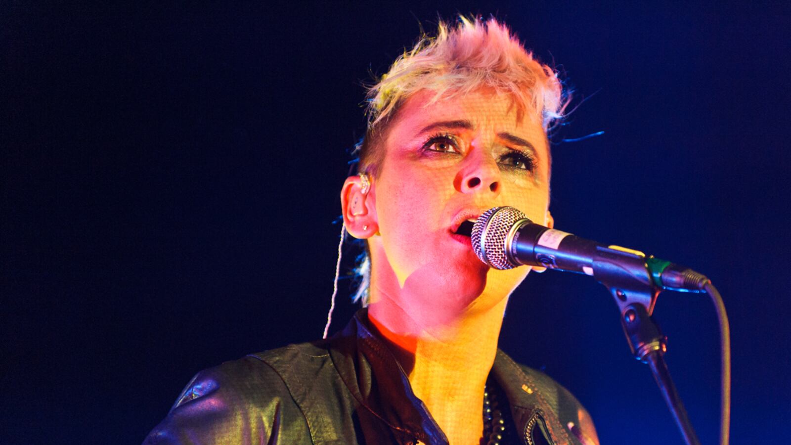 articles/2012/11/02/cat-power-announces-possible-tour-cancellation-bankruptcy/cat-power-bankrupt-streib_kmewr6