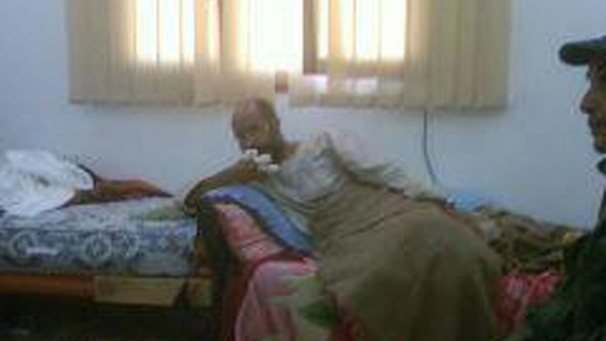 cheats/2011/11/19/libya-gaddafi-s-son-captured/gaddafi-son-saif-captured-injured-cheat_mwxox4