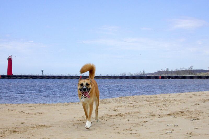 galleries/2012/06/30/dirtiest-beaches-in-america-indiana-to-maine-florida-to-california/dirtiest-beaches-1-pere-marquette_n2rdt1