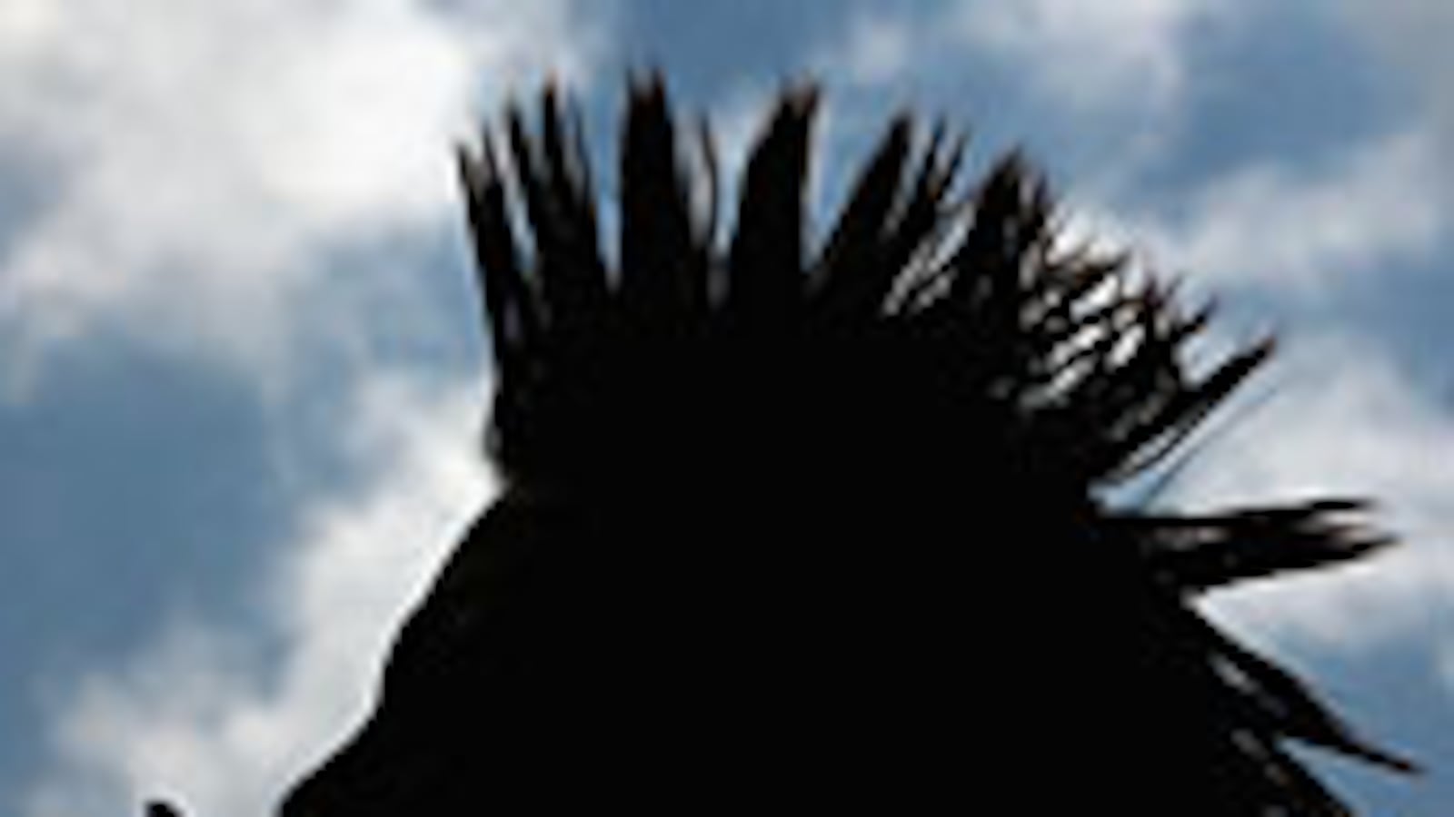 articles/2009/04/06/life-with-the-anarchists/hella-nation-excerpt_21247_jp3xxq