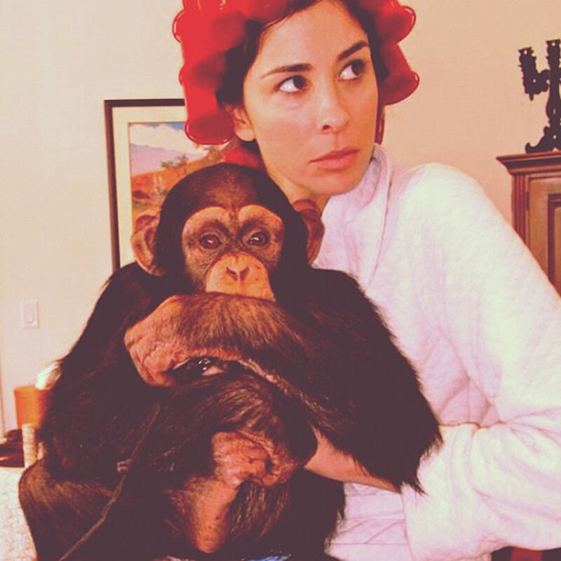 galleries/2012/12/30/best-celebrity-twitter-pictures-kesha-paris-hilton-more-photos/celeb-tweets-04_yddqu3