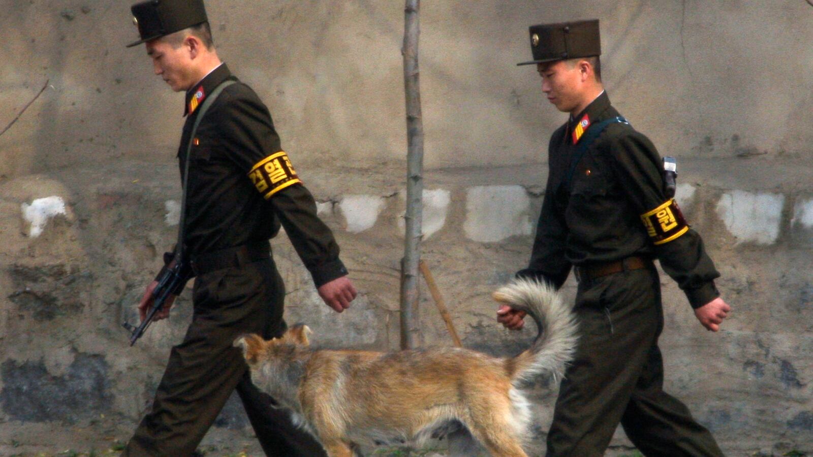 articles/2014/01/05/north-korea-s-monstrous-murder-methods/140103-north-korea-dogs-chang-tease_fubirm