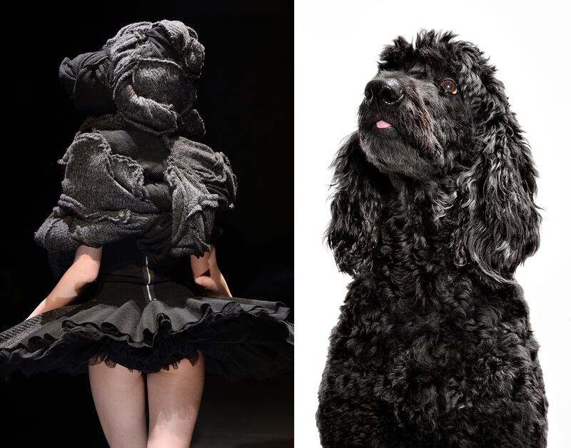 galleries/2014/03/06/fendi-lanvin-and-more-fashion-week-pieces-that-looked-like-animals/gal-2014-fashion-wild-8_elrbkp