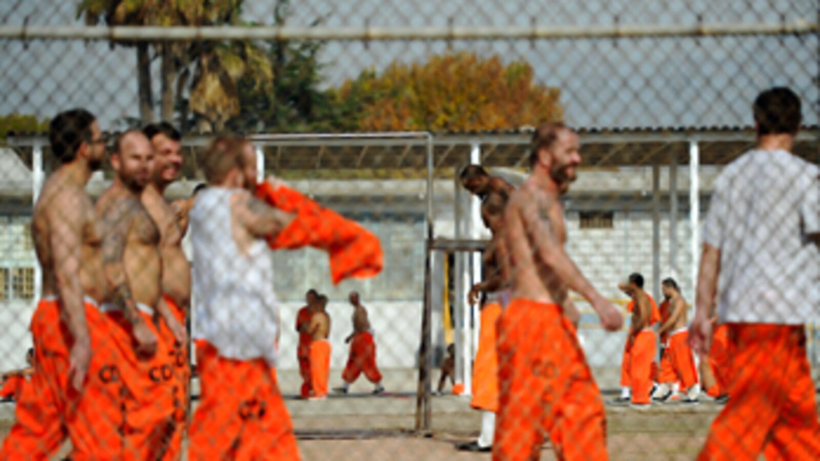 cheats/2011/05/23/california-to-free-46000-prisoners/california-prisons_tv8h5q