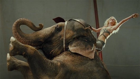 galleries/2011/04/21/women-with-elephants/women-with-elephants---reese-witherspoon_ecuyhd