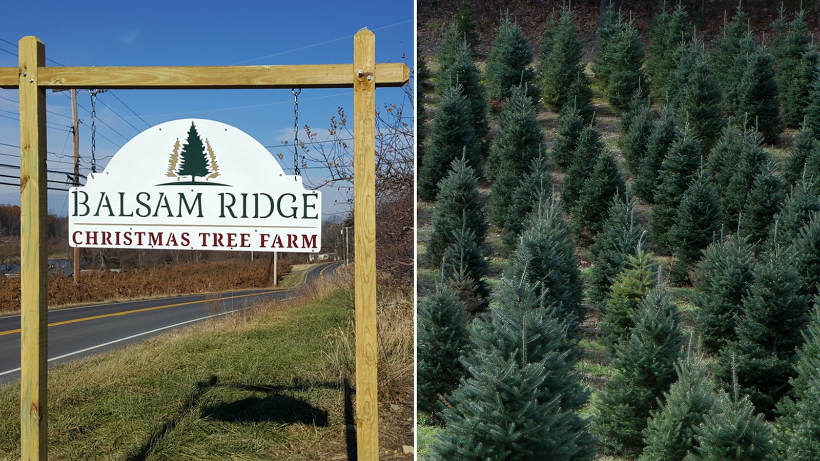 171207-Caminero-Balsam-Christmas-gallery-hero1_z6digf