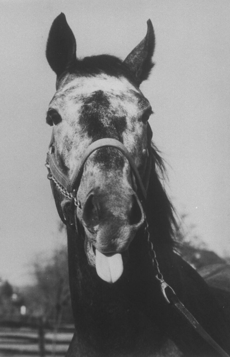 200614-mcnearney-dancers-image-embed_u4jini