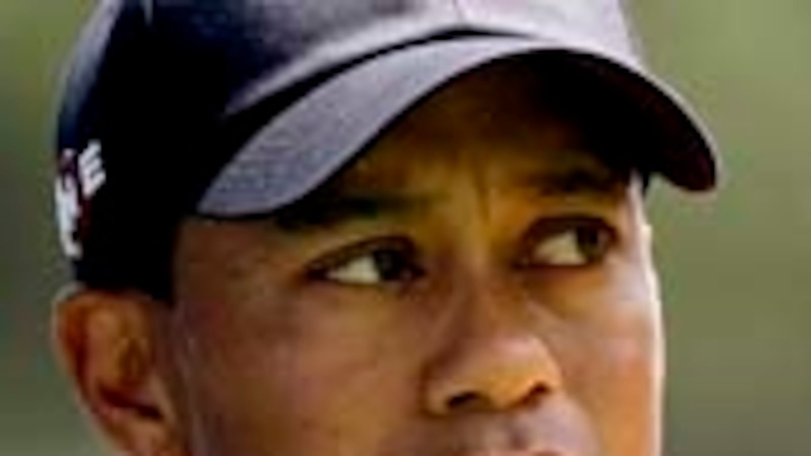 cheats/2009/12/11/tiger-taking-hiatus-from-golf/murphy-tiger-woods-victim_66320_gayafv