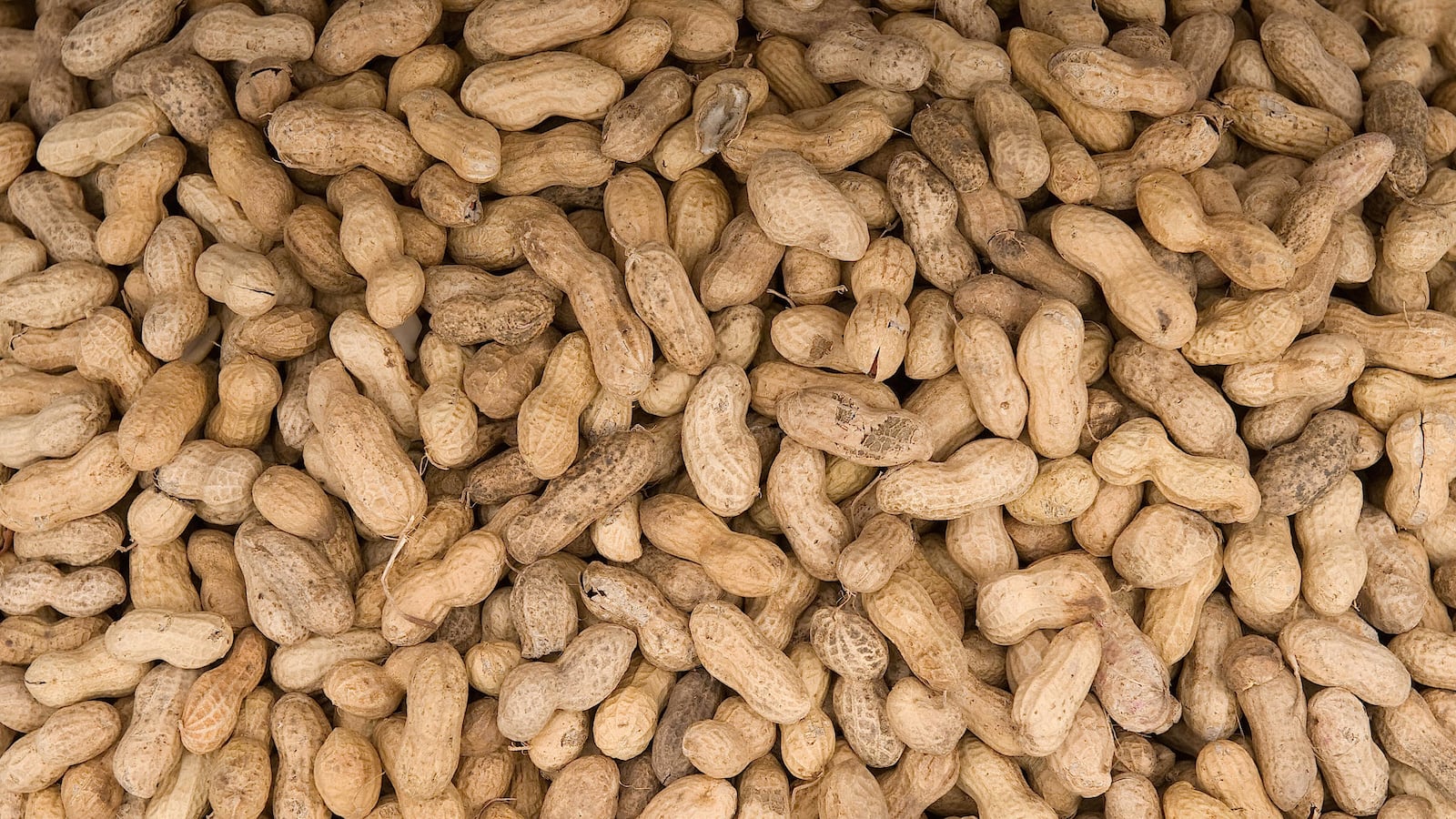 cheats/2015/01/28/researchers-cure-peanut-allergy/150128-peanut-allergy-cheat_xwrwpm