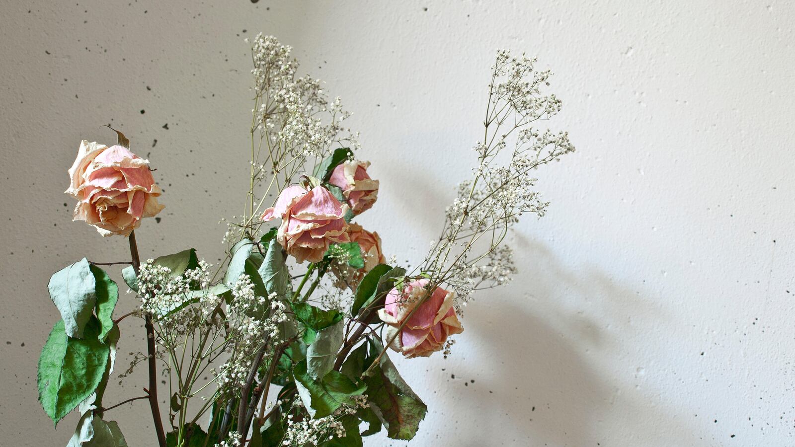 articles/2015/05/11/1-800-flowers-allegedly-shipped-moms-dead-flowers-air/150511-karen-flowers-tease_o5dltb