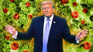 A photo illustration illo of Trump standing front of lettuce and the Cyclospora parasite.