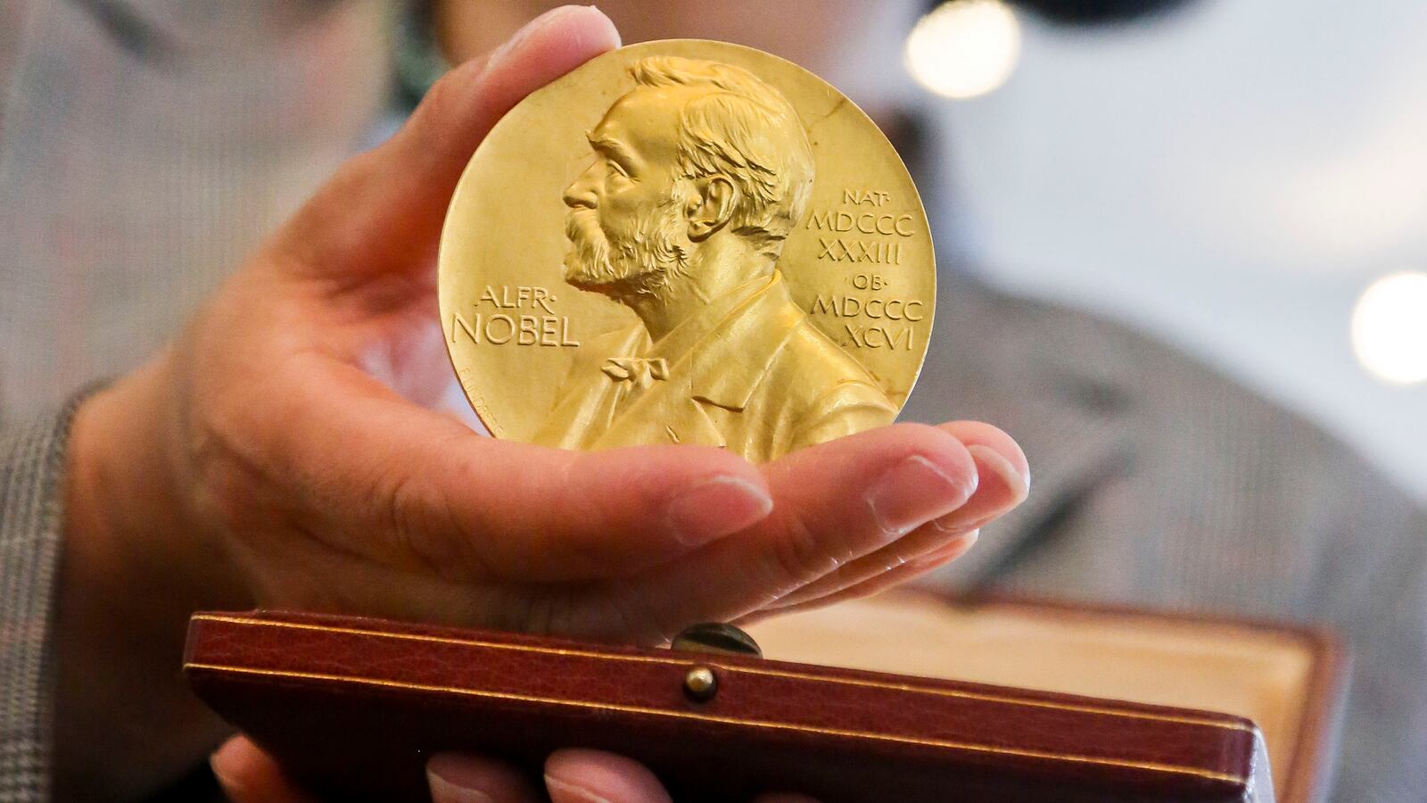 articles/2013/10/12/the-other-nobel-winners/131011-strochlic-nobel-prize-tease_cg6sda