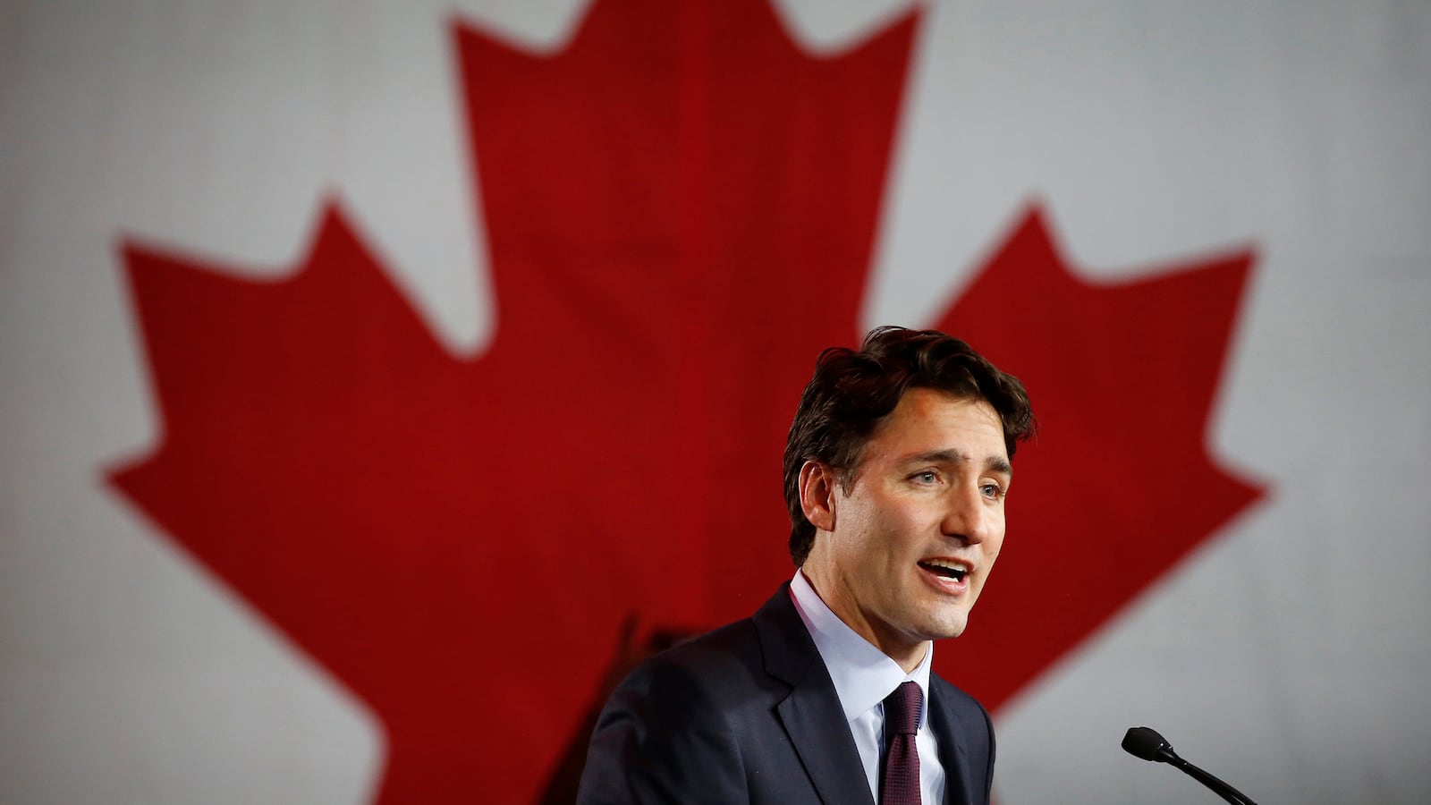 articles/2015/10/24/trudeau-is-less-liberal-than-you-think/151023-lewis-trudeau-liberal-tease_anlefh