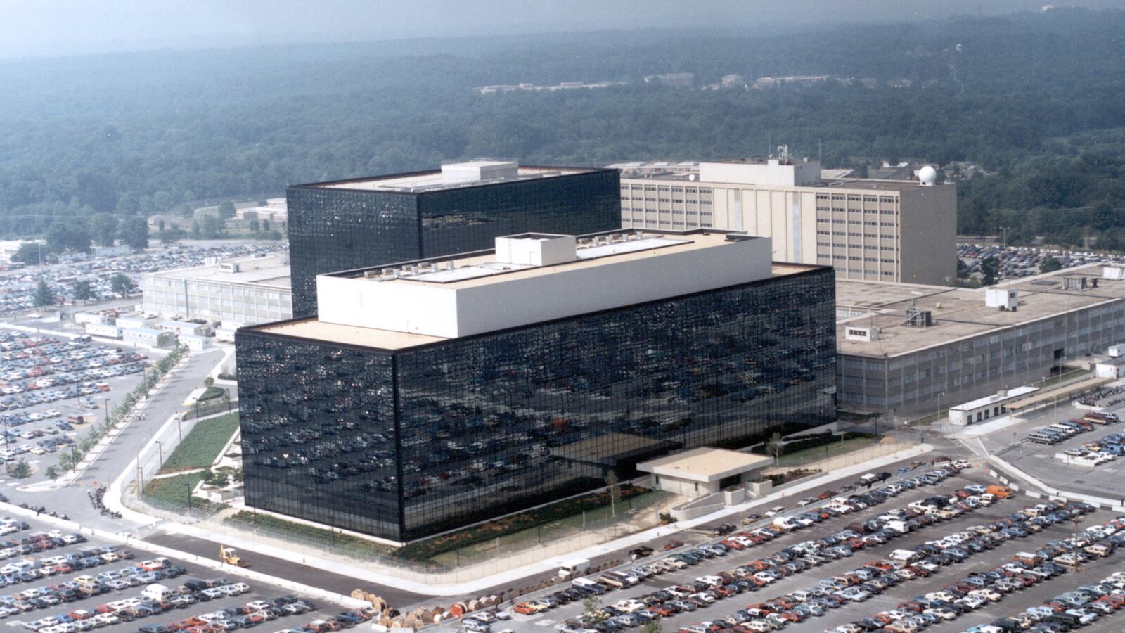 cheats/2014/03/07/court-gov-t-must-destroy-nsa-data/140307-nsa-cheat_zkfvfy