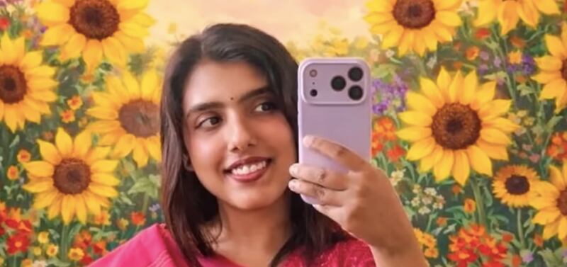 Fox 13/Hillsborough County Sheriff’s Office