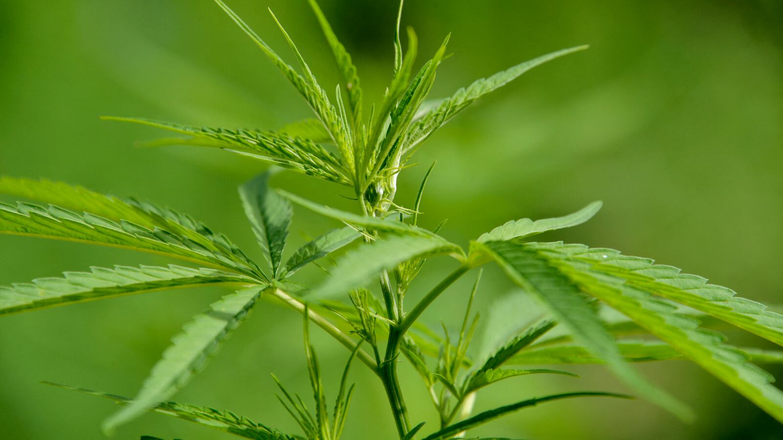 GettyImages-1233482717_lyy6h5