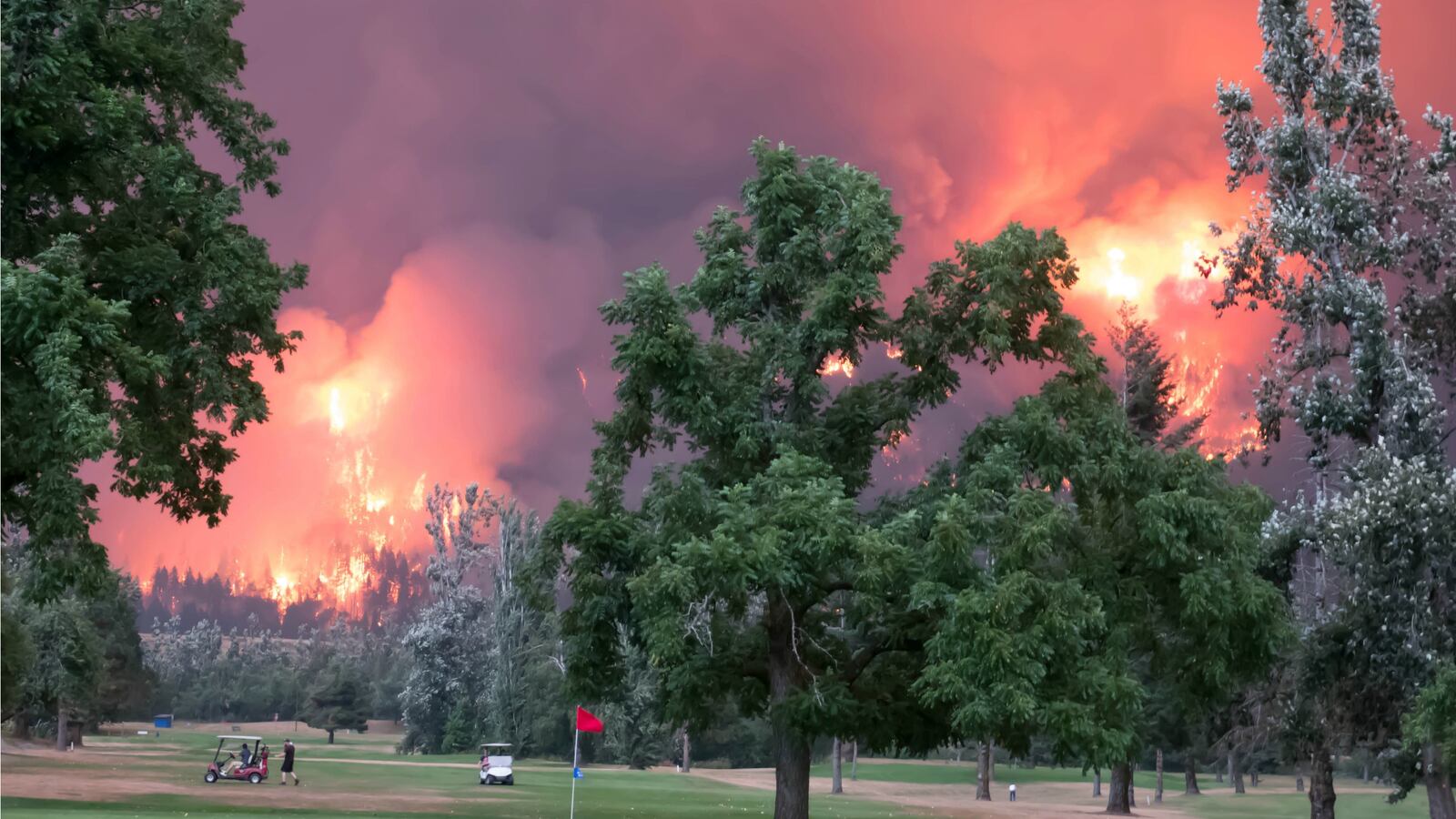 180521-wildfire-cheat_d6maqk