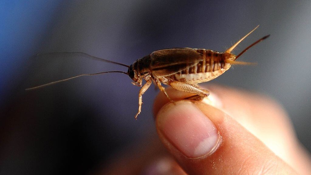 GettyImages-452127794_jn0osp