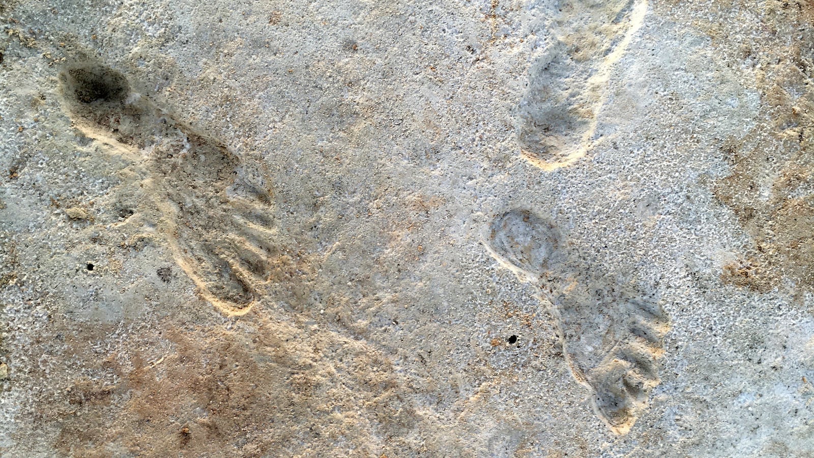 Ancient human footprints at White Sands National Park in New Mexico, U.S.