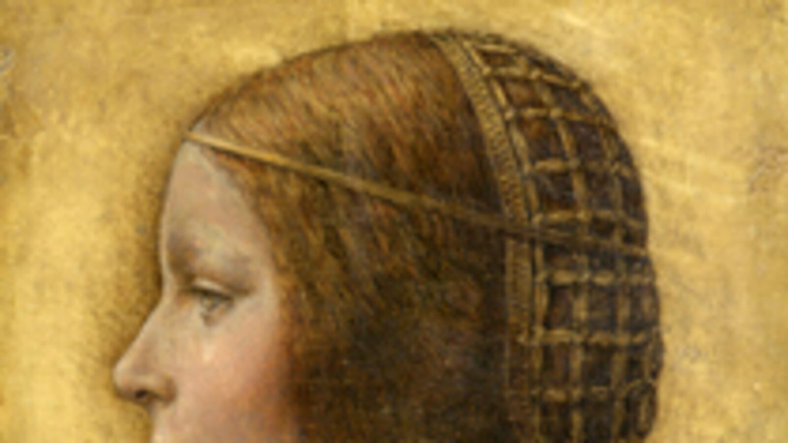 cheats/2009/10/14/new-da-vinci-discovered/leonardo-da-vinci-painting_t1s9ig