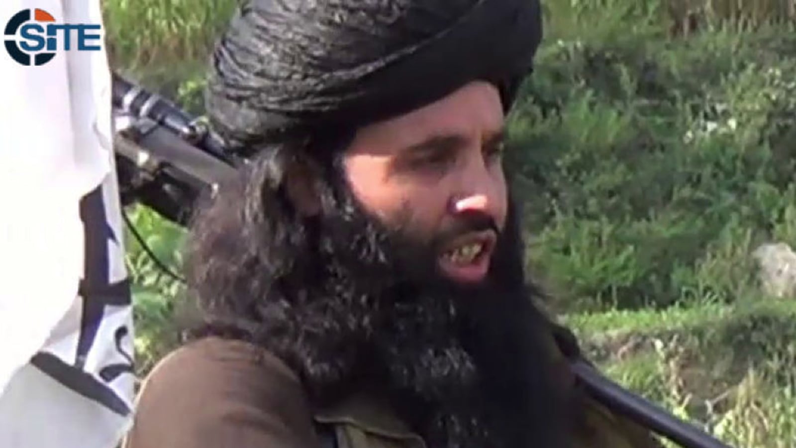 cheats/2013/11/10/pakistani-taliban-pick-new-leader/131110-pakistan-taliban-cheat_ry8pen