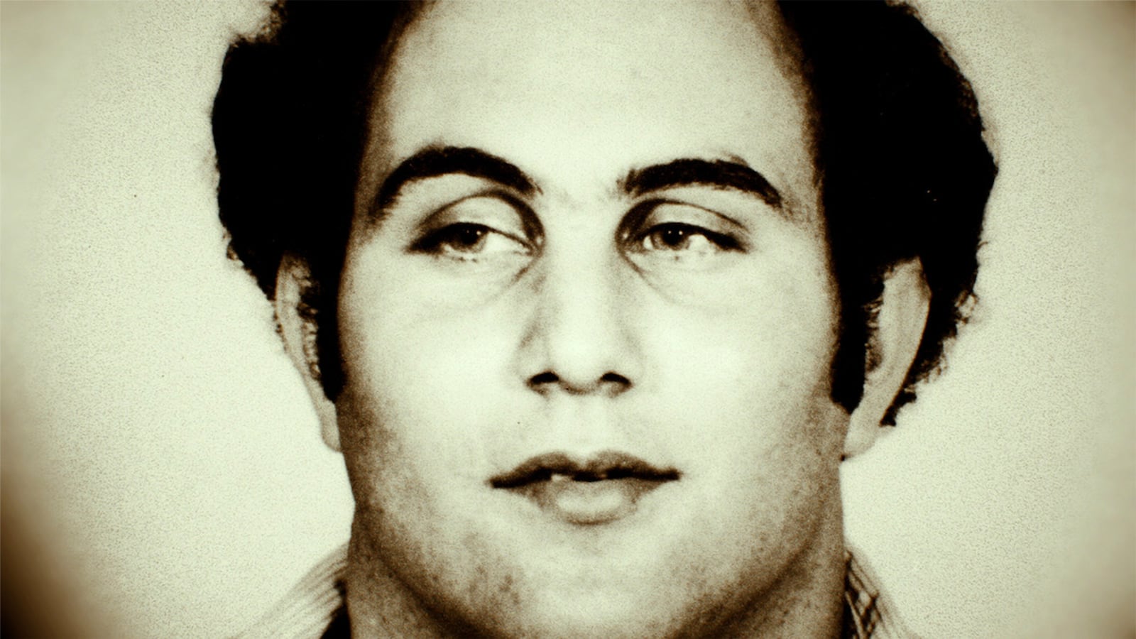 Conversations with a Killer: The Son of Sam Tapes.