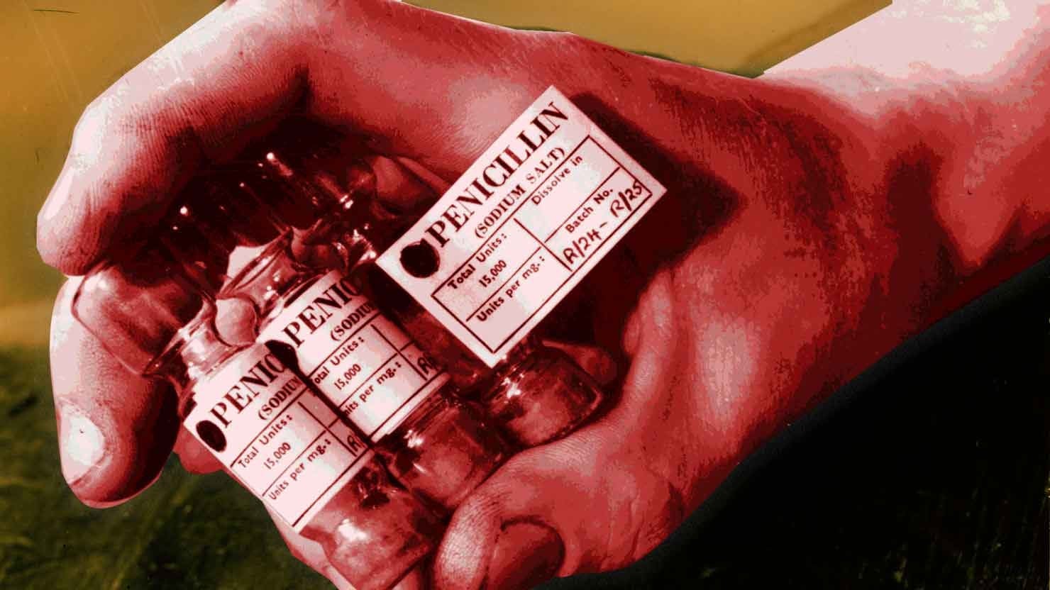 180112-Beebe-Allergic-to-Penicillin-hero_gwvhng-1_ztmlzg