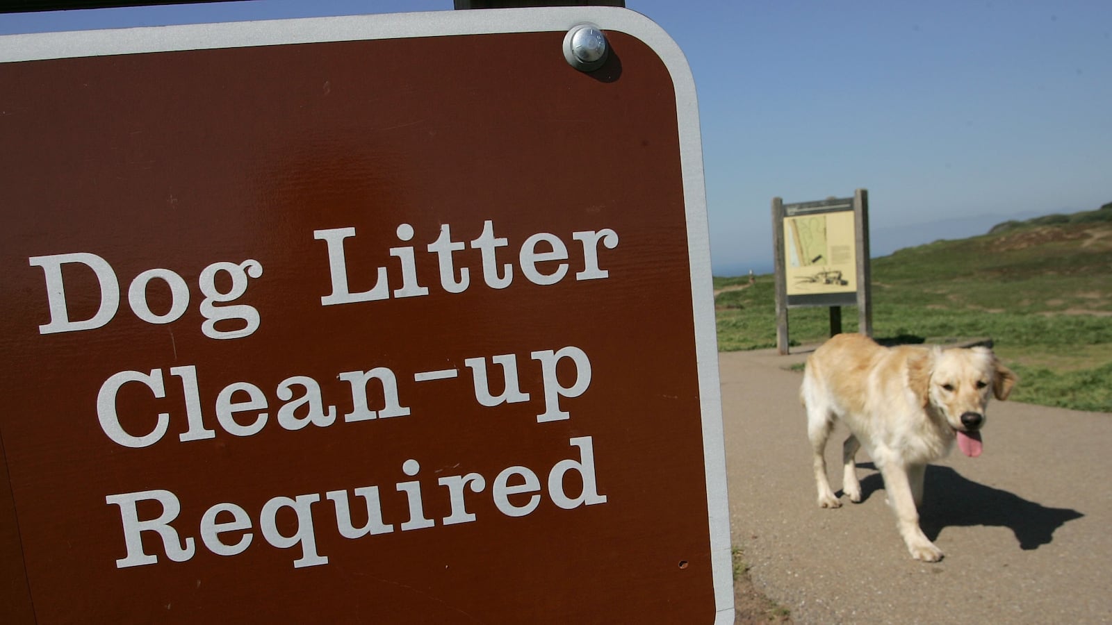 articles/2013/02/05/murdered-over-dog-crap/murdered-over-dog-crap-image_chrhqv