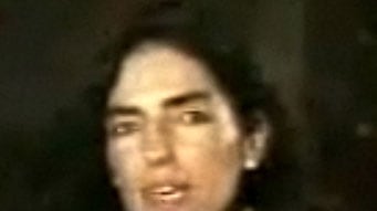 cheats/2009/06/28/argentine-lover-admits-affair/maria-belen-chapur_qza4ib