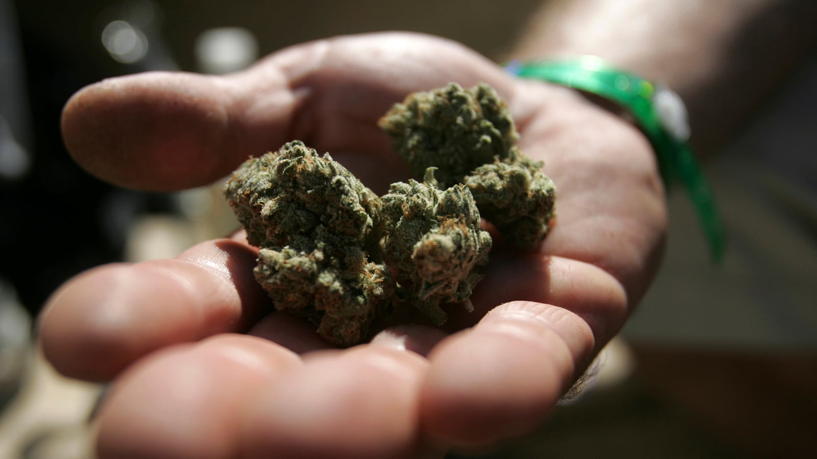 cheats/2014/04/22/philly-school-drug-ring-busted/140422-philly-drug-bust-cheat_ccmqzi