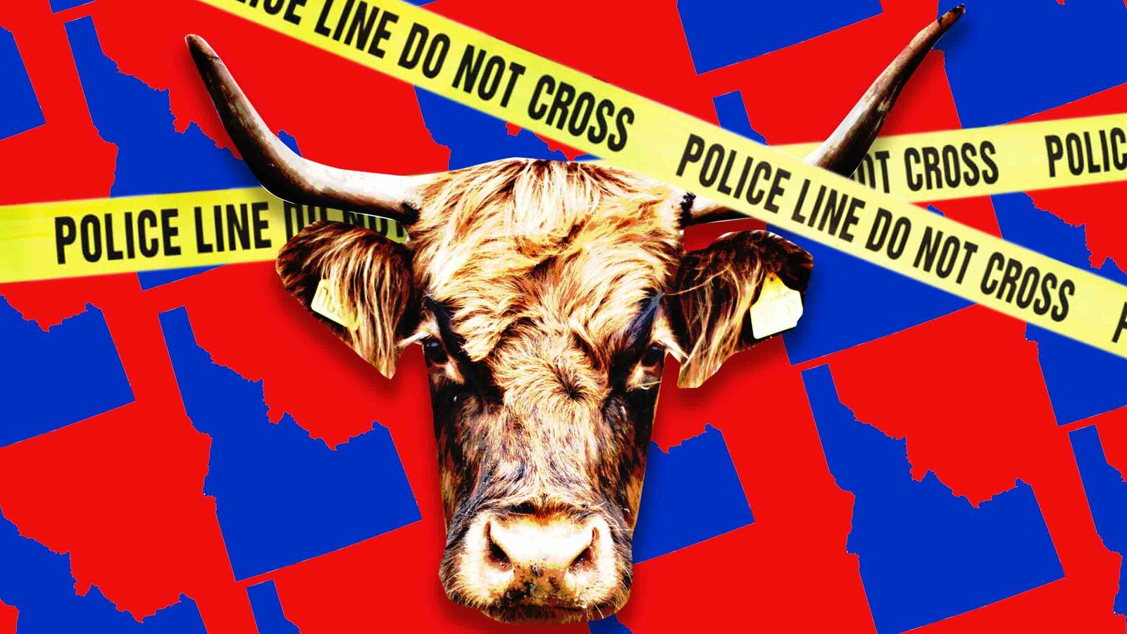 171015-weill-idaho-tease_ihzmj5