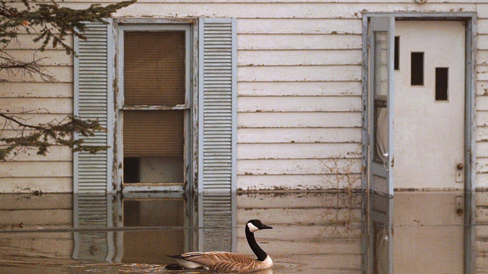 cheats/2013/06/21/calgary-floods-force-100k-to-evacuate/130621-canada-flood-cheat_nd2wzk