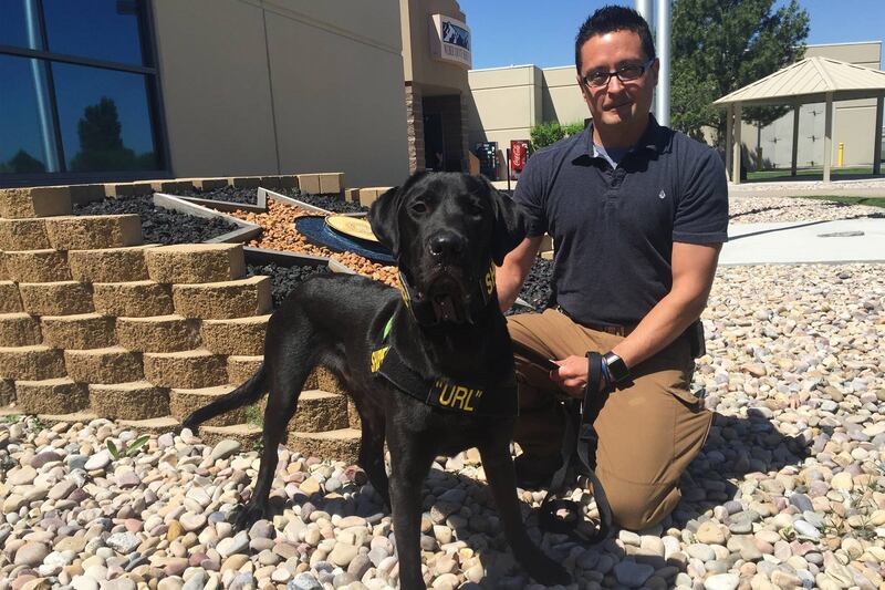 articles/2016/06/24/utah-police-now-have-a-kiddie-porn-sniffing-dog/160624-Slattery-porn-sniffing-dog-embed_wd4gss